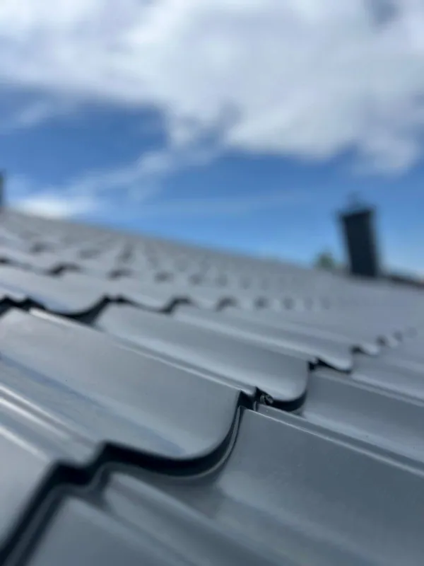 Detalj rebra crijep lima
